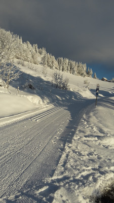 Langlaufloipe hinter der Sonnenalm