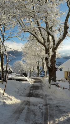 Blick den Hornweg runter von der Panorama Lodge Sonnenalm