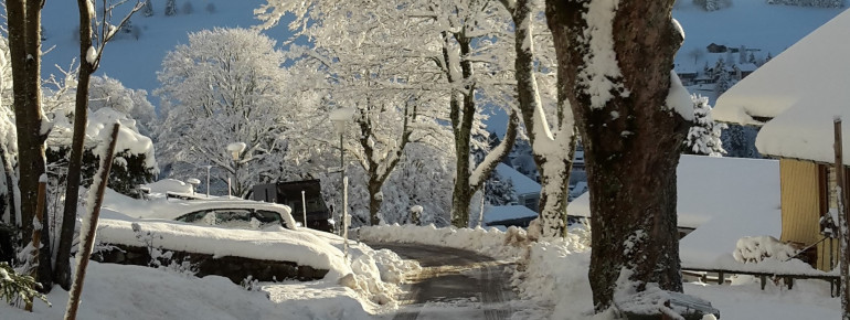 Blick den Hornweg runter von der Panorama Lodge Sonnenalm
