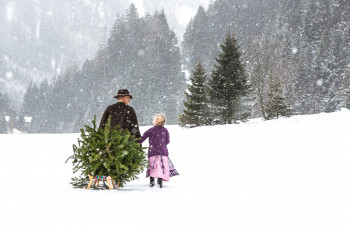 Winterlandschaft