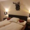 Parsenn Suite