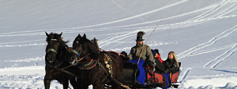 romantische Pferdekutschenfahrt