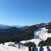 Brauneck