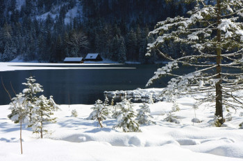 Almsee im Winter