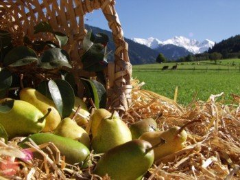Natur schmecken ..