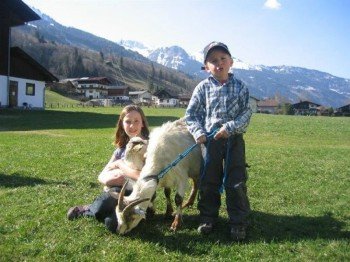 unsere Tiere kennenlernen