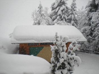 WINTER JANUAR 2019