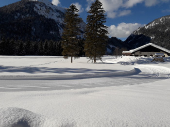 Loipe am PLANSEE
