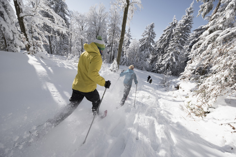Schneeschuhwandern