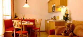 Die Küche in unseren Appartements Wíldrose