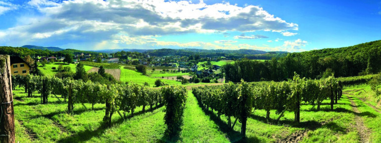 Aussicht