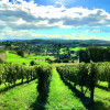 Aussicht