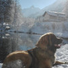 Leonbergerhündin "Berta"