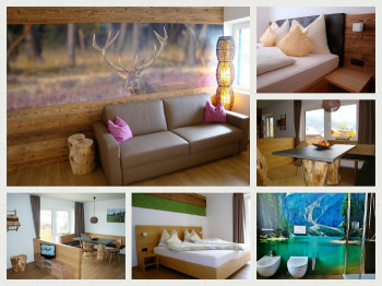 Apartment WALD