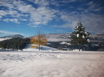 Herbst trifft auf Winter