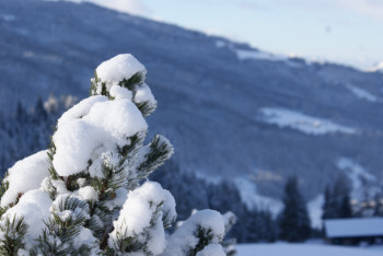 Winterzauber am Kurzenhof