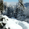Ausblick Wohnung Panorama im Winter