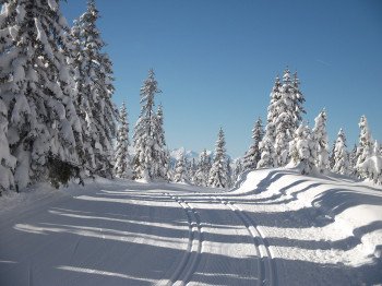 Langlaufen Rossbrand Filzmoos nahe Ramsau