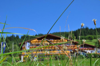 Wildschütz im Sommer