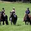 Ausritte und Reitunterricht