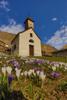 Die Kapelle auf der Fane Alm