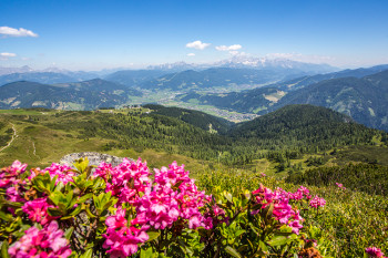 FLACHAU