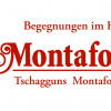 Hotel Montafoner Hof
