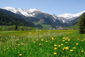 Frühlings erwachen
