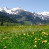 Frühlings erwachen