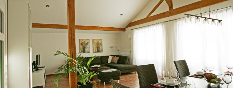 Wohn- und Esszimmer 40qm