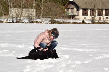 Urlaub mit Hund