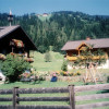 Im Sommer