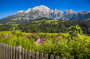 Aussicht auf die Leoganger Steinberge