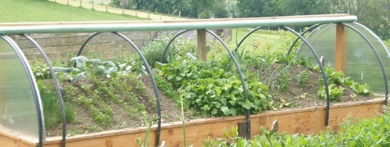 Unser Kräutergarten