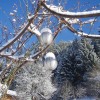 Winterstimmung