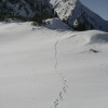 Natur