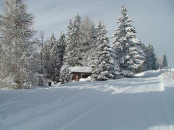 Rodelbahn bei der Hütte