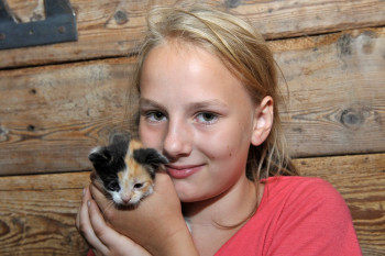 Die Babykatzen lieben euch