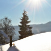 Blick ins Tal Todtnauberg