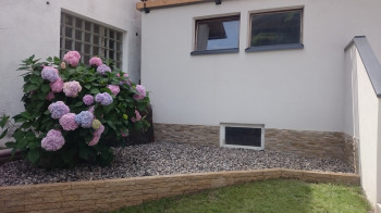 Unser Garten