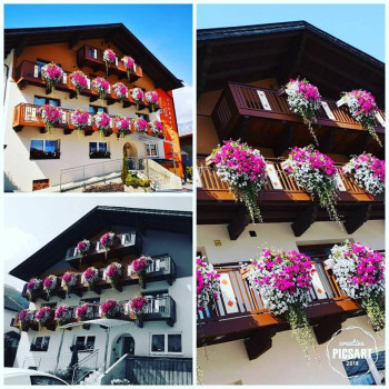 Unser Blumenpracht im Sommer