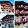 Unser Blumenpracht im Sommer