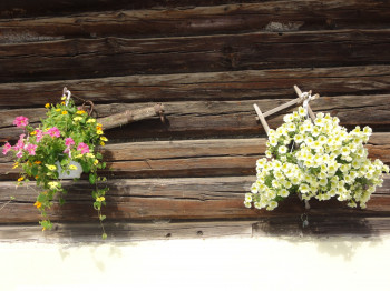 Blumenschmuck