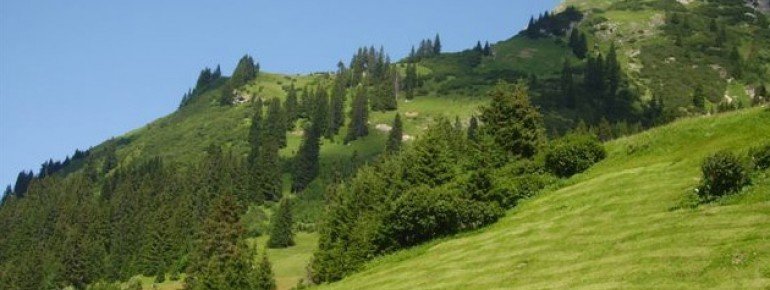 Sommer in Lech