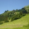Sommer in Lech