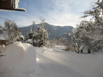 Winter 2019