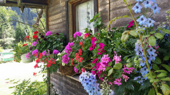 Sommer