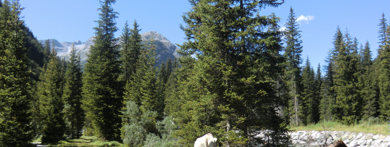 Sommer in Lech