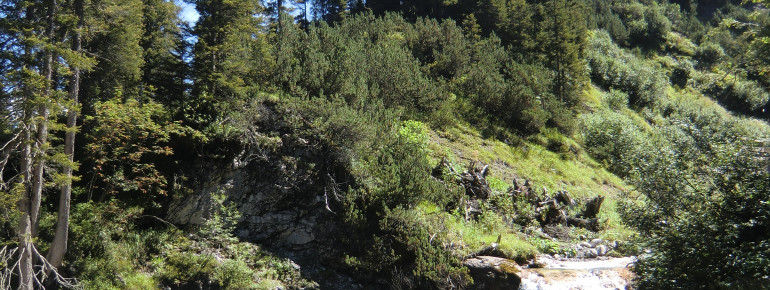Sommer in Lech