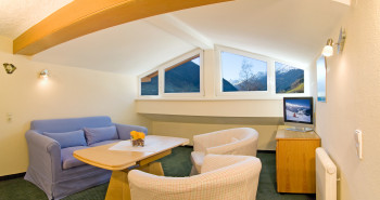 Apartment / Wohnzimmer